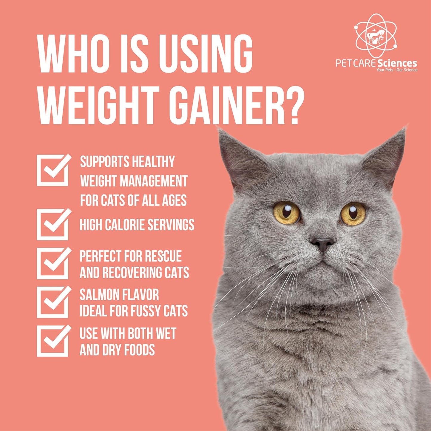 16 Fluid Ounce Liquid Cat Weight Gainer - High Calorie Supplement for Cats - High Calorie Cat Food Appetite Stimulant - Made in The USA