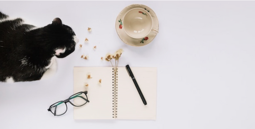 Looking for New Year Resolutions for Your Pet? Here are 10 ideas!