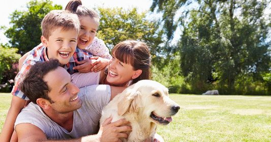 Prep Your Pet for a Great Spring!