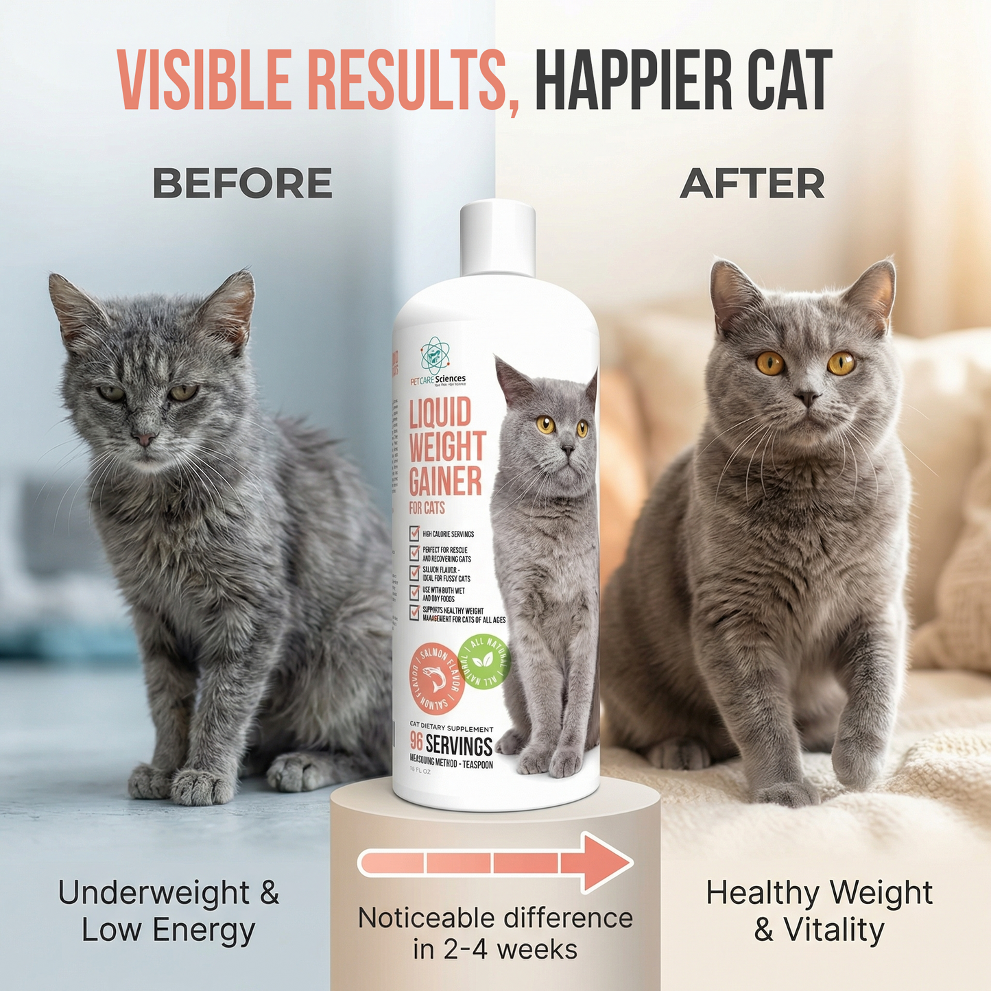 16 Fluid Ounce Liquid Cat Weight Gainer - High Calorie Supplement for Cats - High Calorie Cat Food Appetite Stimulant - Salmon Flavor - Made in The USA