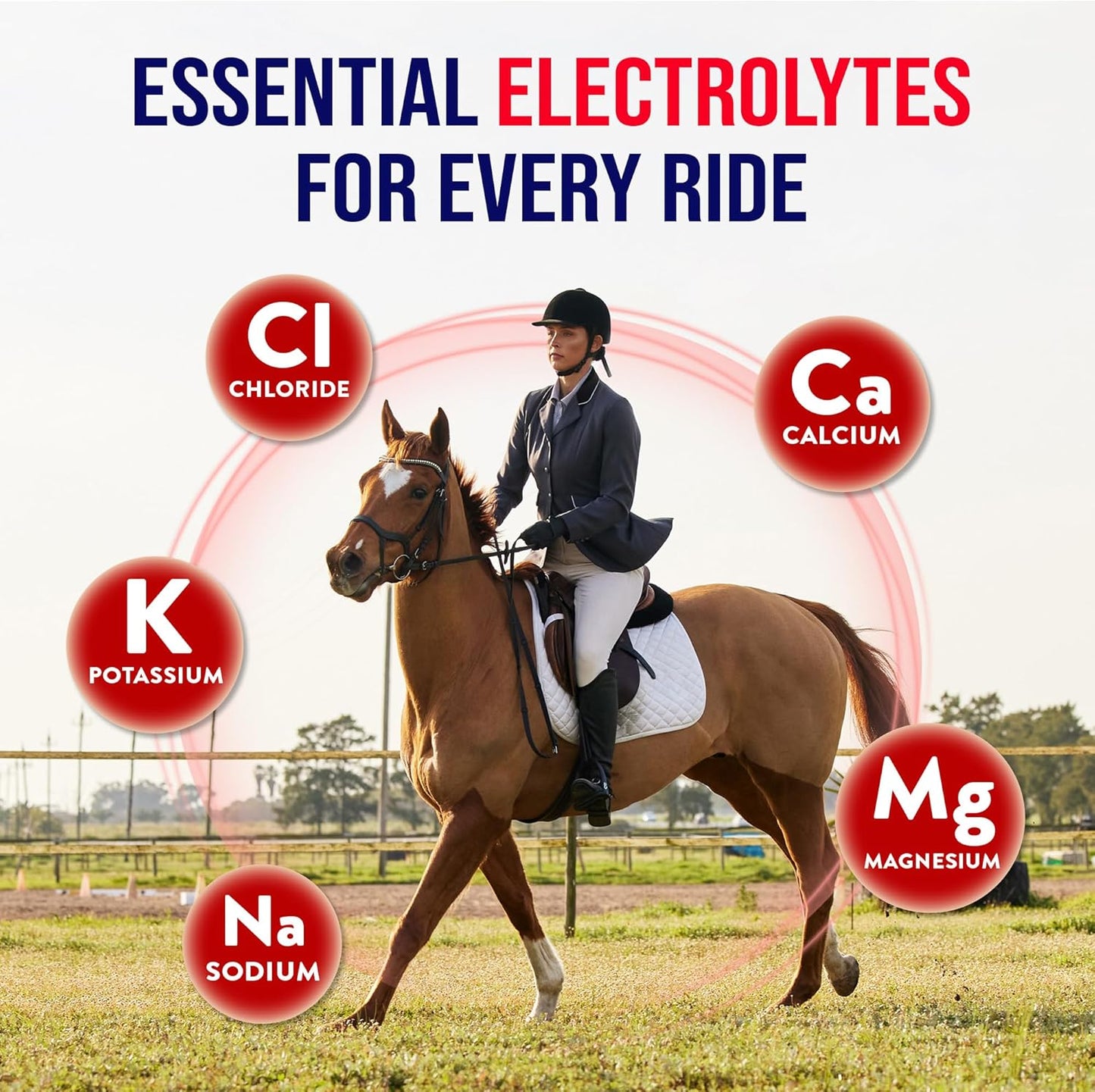 5lb Horse Electrolytes Powder | Electrolytes for Horses | Horse Electrolyte Supplements | Crisp Apple Flavor | Made in the USA