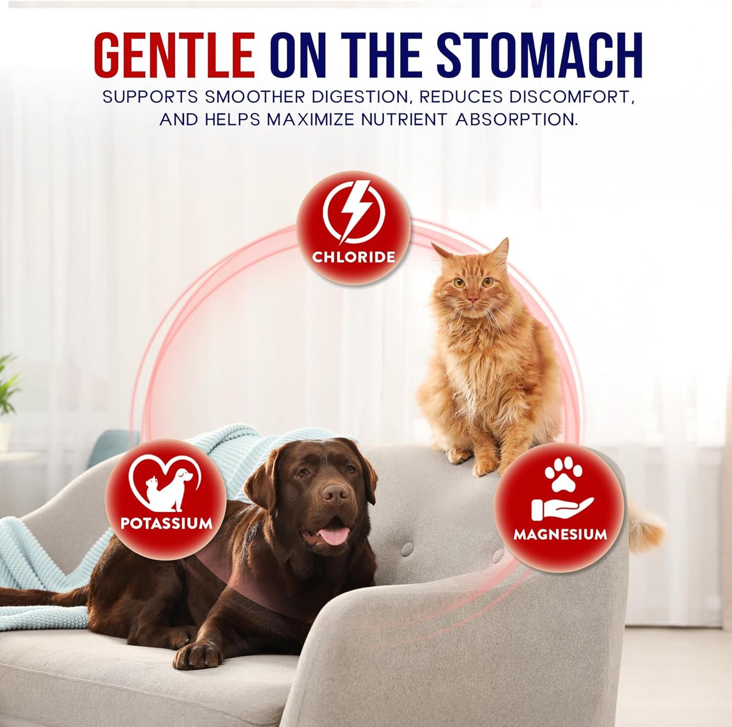 PET CARE Sciences Impact Digestive Enzymes for Dogs & Cats | 75 Servings | Enzyme Powder for Digestion | Pancreatic Enzymes for Dogs & Cats | Digestive, Weight & Pancreatic Issues | Made in The USA