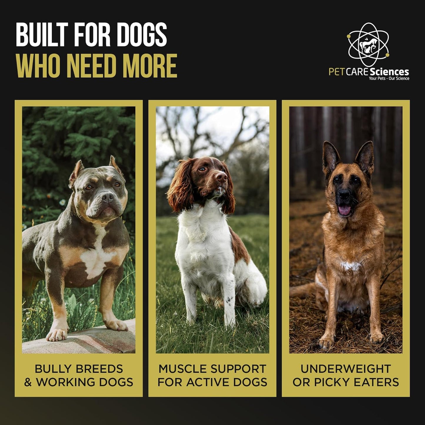 PET CARE Sciences® Dog Weight and Muscle Gainer