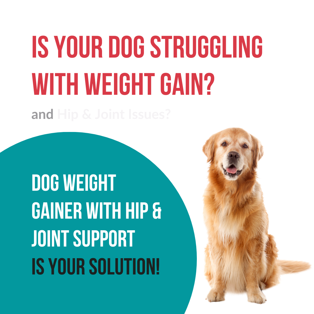 New - Weight Gainer with Hip & Joint