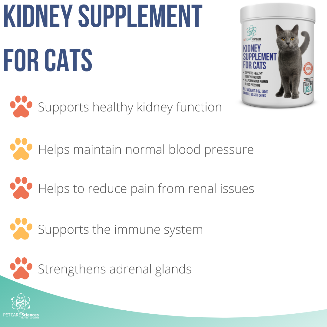 PET CARE Sciences® Kidney Supplement For Cats and Small Dogs