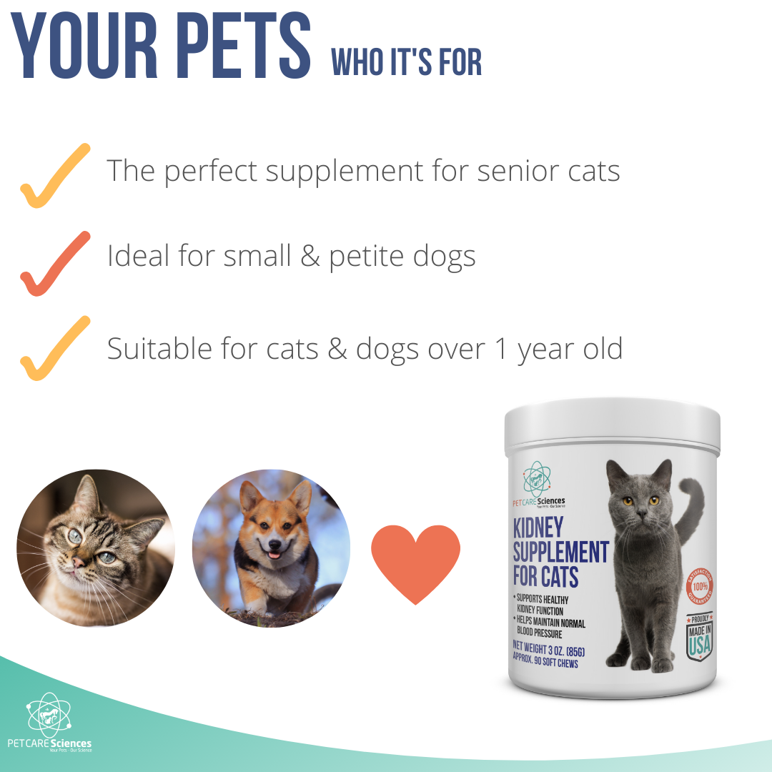 PET CARE Sciences® Kidney Supplement For Cats and Small Dogs