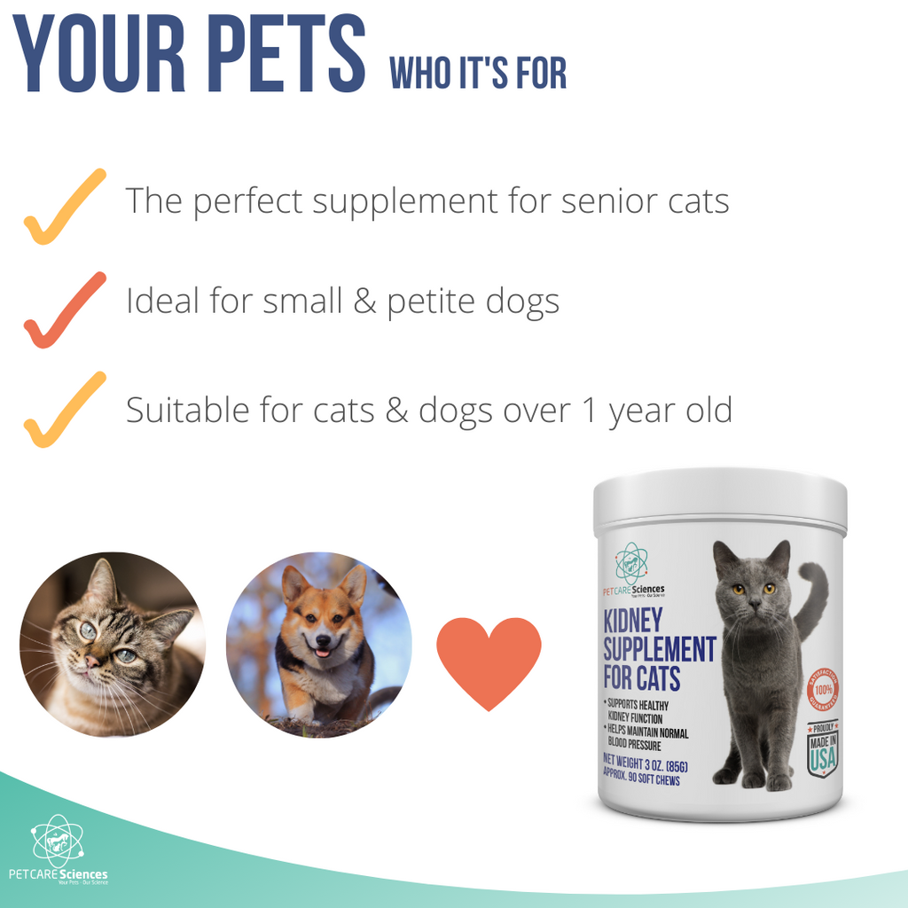 PET CARE Sciences® Kidney Supplement For Cats and Small Dogs