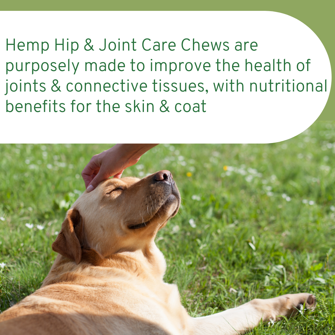 PET CARE Sciences® Hemp Hip & Joint For Dogs