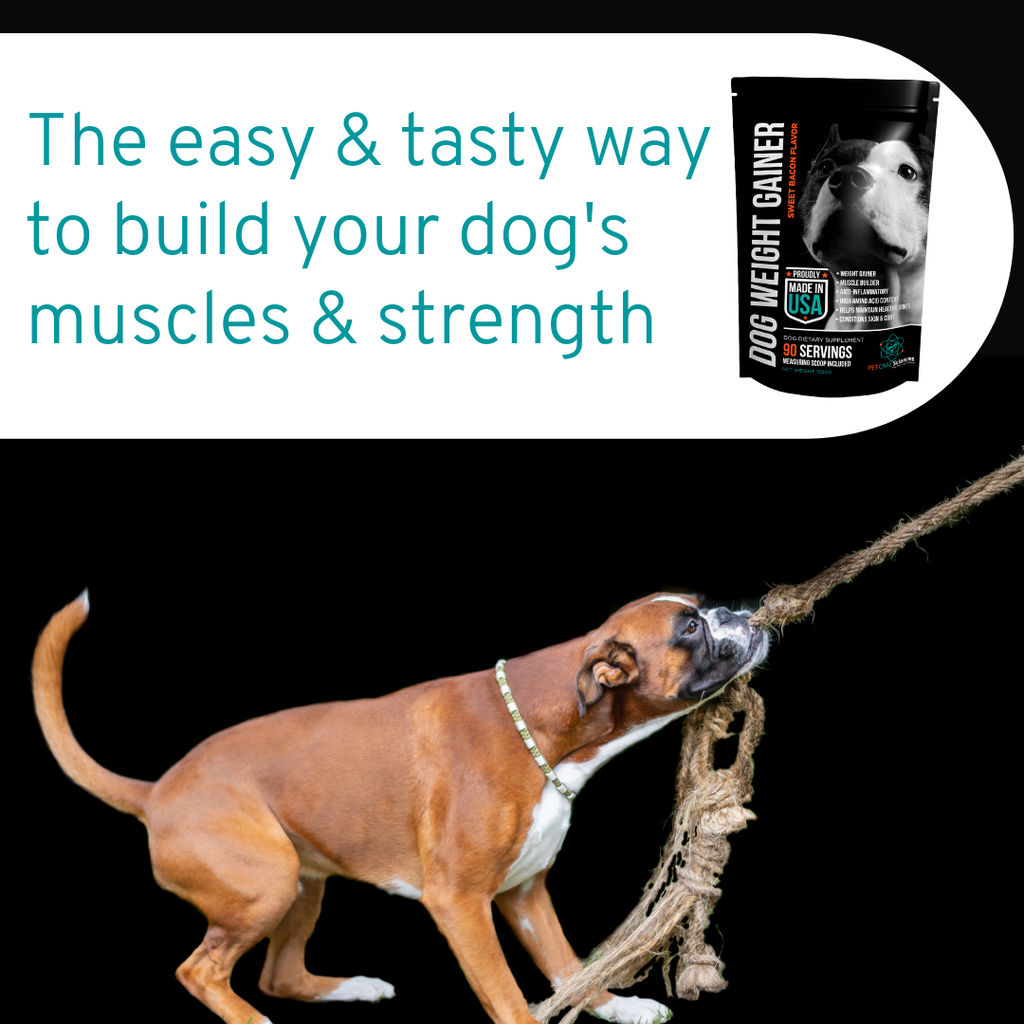 Dog sales muscle builder