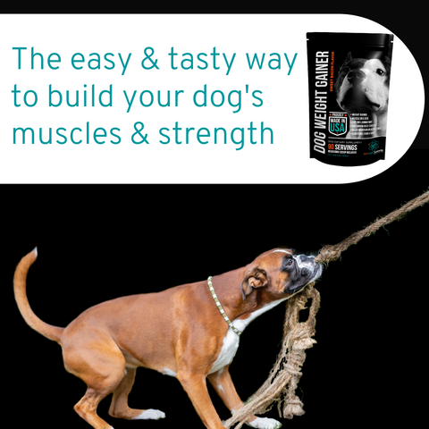 PET CARE Sciences® Dog Weight and Muscle Gainer