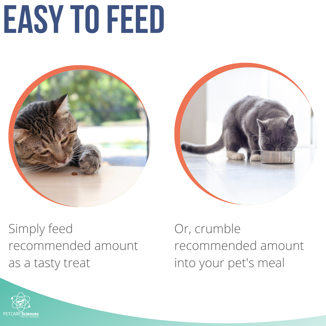 PET CARE Sciences® Kidney Supplement For Cats and Small Dogs