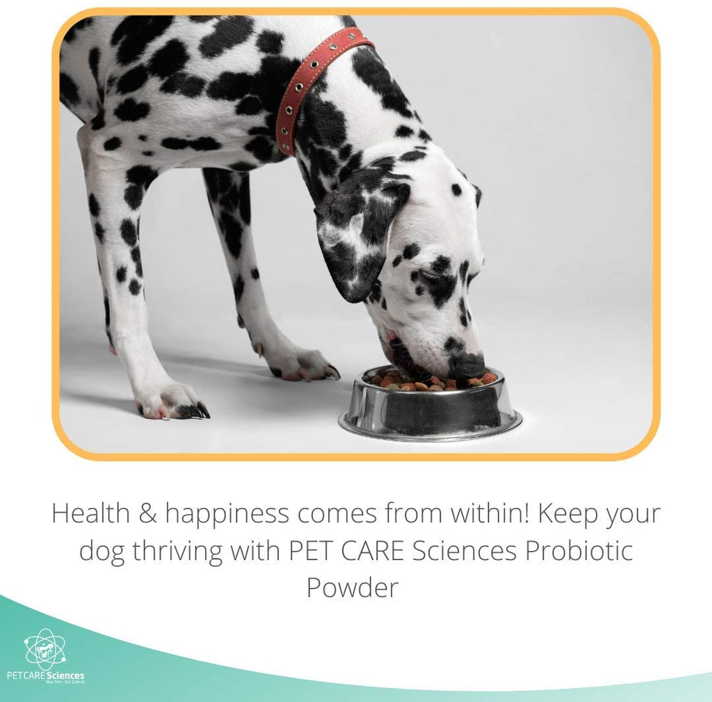PET CARE Sciences® Probiotic Powder for Dogs, 120 Servings