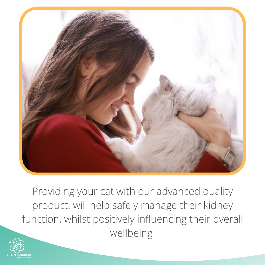 PET CARE Sciences® Kidney Supplement For Cats and Small Dogs