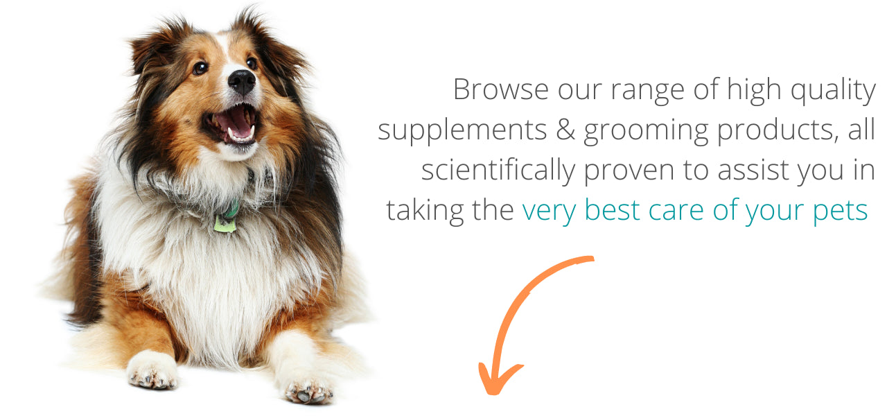 Browse our range of high quality supplements & grooming products, all scientifically proven to assist you in taking the very best care of your pets
